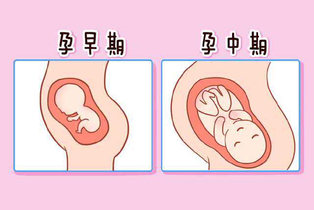 广州供卵试管中心：AMH低于多少不能做试管婴儿？可以申请供卵吗？