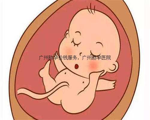 广州助孕价钱服务，广州助孕医院