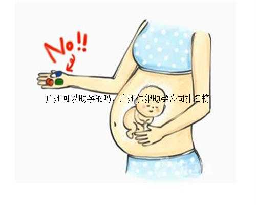 广州可以助孕的吗，广州供卵助孕公司排名榜