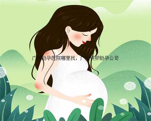 广州助孕医院哪里找，广州供卵助孕公司
