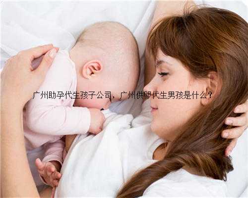 广州助孕代生孩子公司，广州供卵代生男孩是什么？