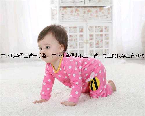 广州助孕代生孩子价格，广州科学供卵代生小孩：专业的代孕生育机构