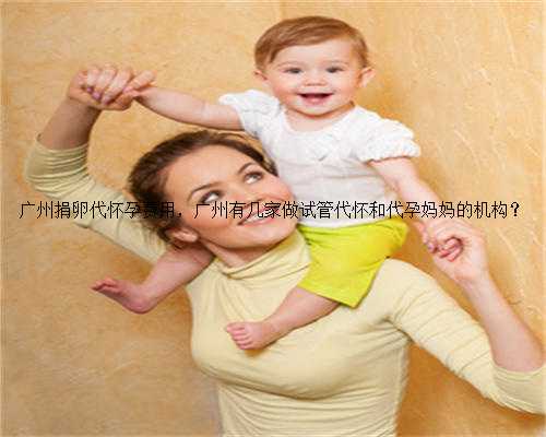 广州捐卵代怀孕费用，广州有几家做试管代怀和代孕妈妈的机构？