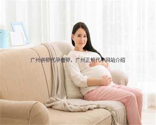 广州供卵代孕借卵，广州正规代孕网站介绍
