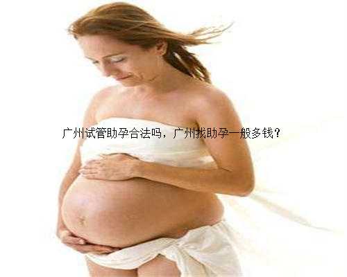 广州试管助孕合法吗，广州找助孕一般多钱？