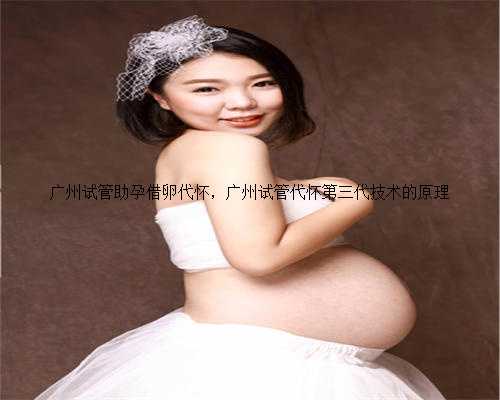 广州试管助孕借卵代怀，广州试管代怀第三代技术的原理