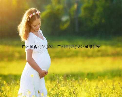 广州试管助孕哪家，广州供卵助孕公司排名榜