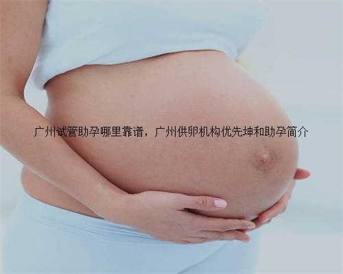广州试管助孕哪里靠谱，广州供卵机构优先坤和助孕简介
