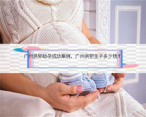 广州供卵助孕成功案例，广州供卵生子多少钱？
