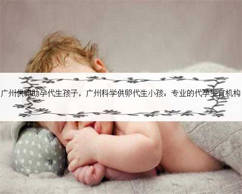 广州供卵助孕代生孩子，广州科学供卵代生小孩：专业的代孕生育机构