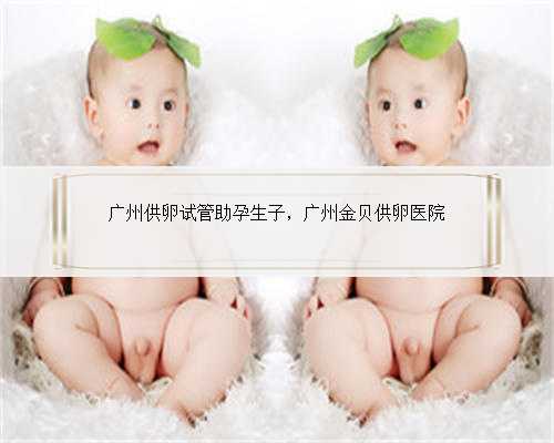 广州供卵试管助孕生子，广州金贝供卵医院