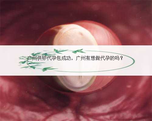 广州供卵代孕包成功，广州有想做代孕的吗？