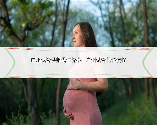 广州试管供卵代怀价格，广州试管代怀流程