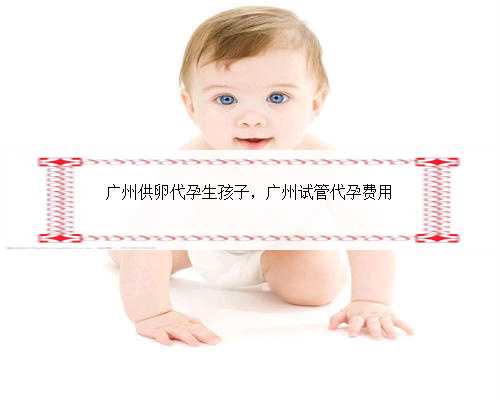 广州供卵代孕生孩子，广州试管代孕费用
