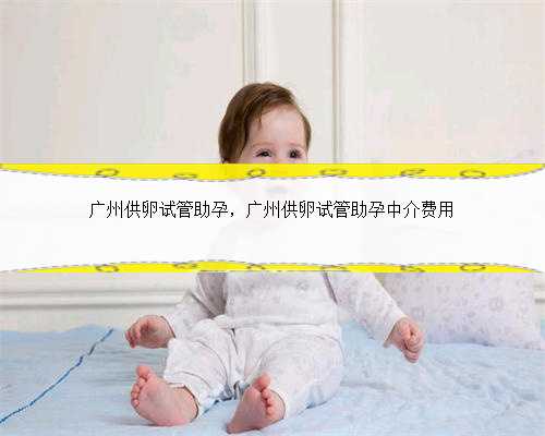 广州供卵试管助孕，广州供卵试管助孕中介费用