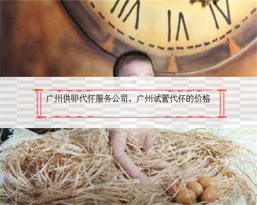 广州供卵代怀服务公司，广州试管代怀的价格