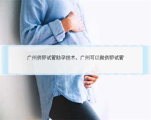 广州供卵试管助孕技术，广州可以做供卵试管