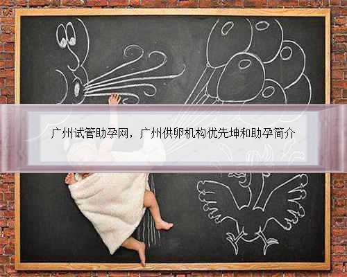广州试管助孕网，广州供卵机构优先坤和助孕简介