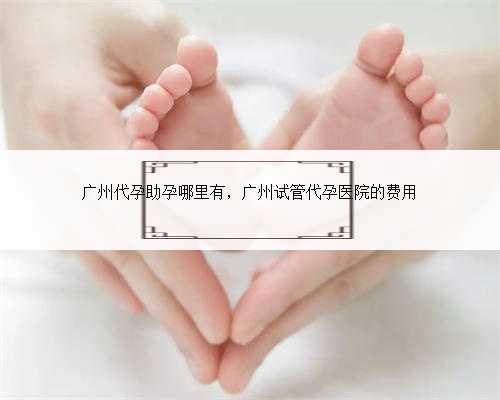 广州代孕助孕哪里有，广州试管代孕医院的费用