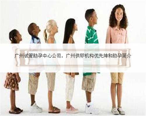广州试管助孕中心公司，广州供卵机构优先坤和助孕简介