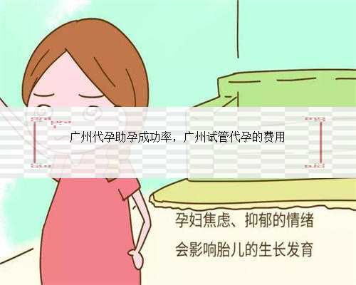 广州代孕助孕成功率，广州试管代孕的费用