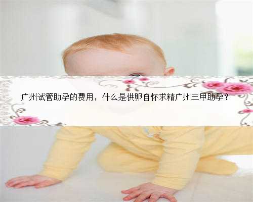 广州试管助孕的费用，什么是供卵自怀求精广州三甲助孕？