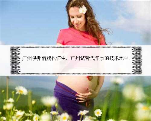 广州供卵借腹代怀生，广州试管代怀孕的技术水平