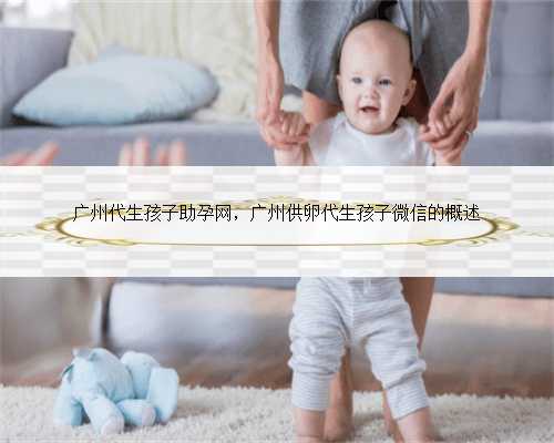 广州代生孩子助孕网，广州供卵代生孩子微信的概述