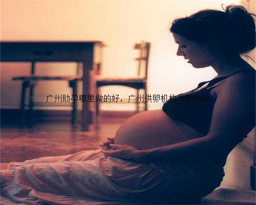 广州助孕哪里做的好，广州供卵机构坤和助孕