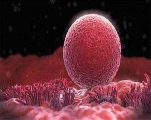 广州供卵试管助孕机构：子宫肌瘤哪些情况会导