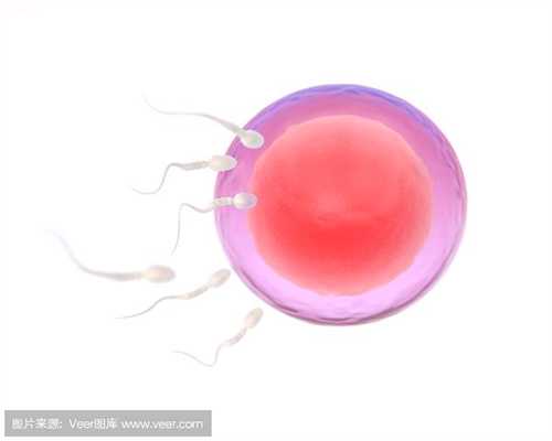 武汉借卵生子:造影检查输卵管通而极不畅