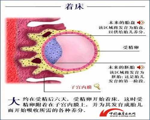 代孕生殖专家，代孕哪家靠谱，中国代孕合法吗