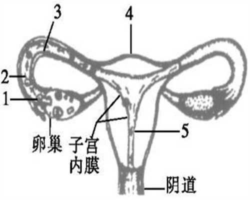 广州想找代孕公司~输卵管通而不畅影响怀孕吗