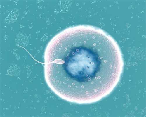 代怀孕代孕包成功,卵巢有囊肿怎么引起的,12生肖