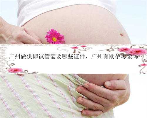 广州做供卵试管需要哪些证件，广州有助孕母亲吗