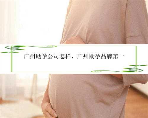 广州助孕公司怎样，广州助孕品牌第一
